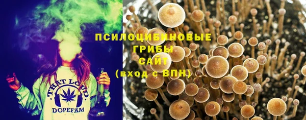 спайс Армянск