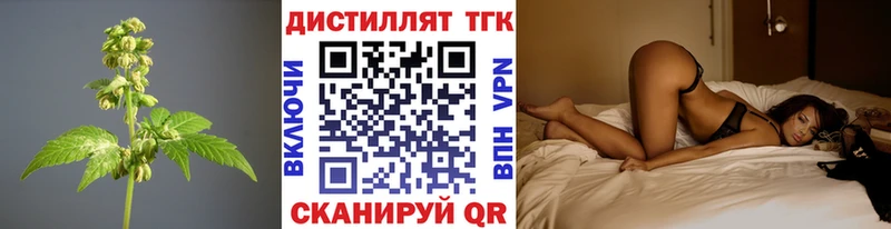 Дистиллят ТГК THC oil  Купить закладки  Бабаево 
