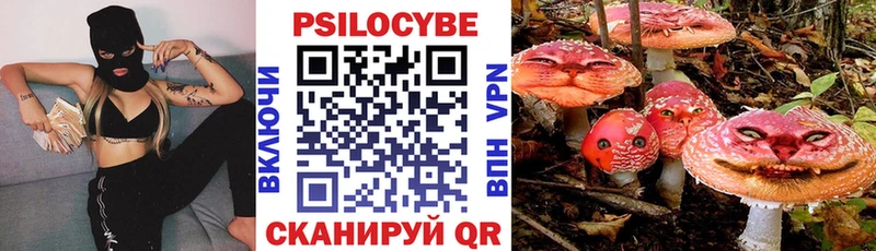 Галлюциногенные грибы прущие грибы  Купить закладки  Бабаево 