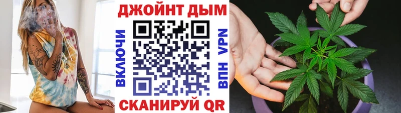 Каннабис планчик  Купить  Бабаево 